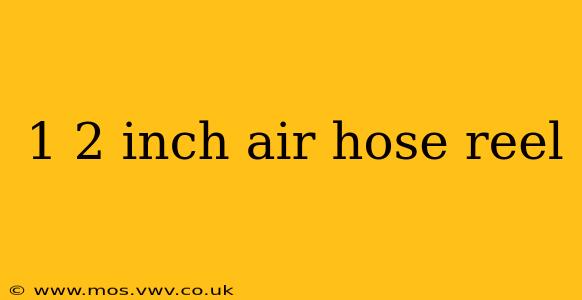 1 2 inch air hose reel