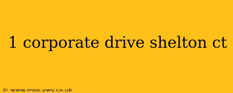 1 corporate drive shelton ct