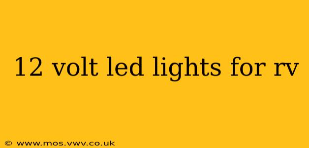 12 volt led lights for rv