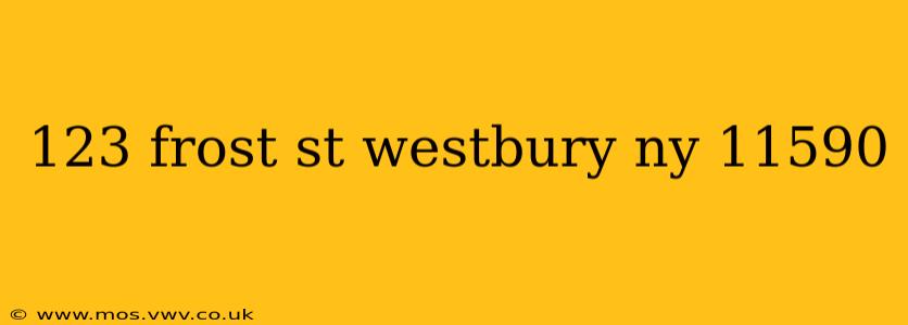 123 frost st westbury ny 11590
