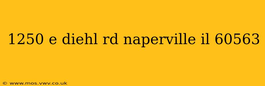1250 e diehl rd naperville il 60563