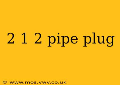 2 1 2 pipe plug