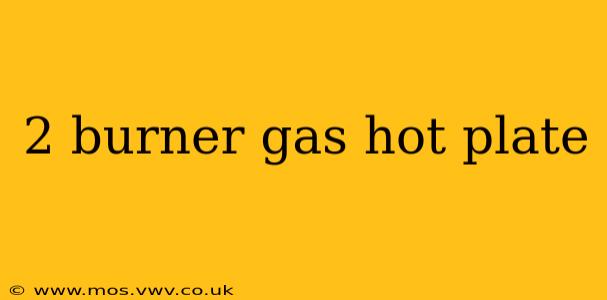2 burner gas hot plate