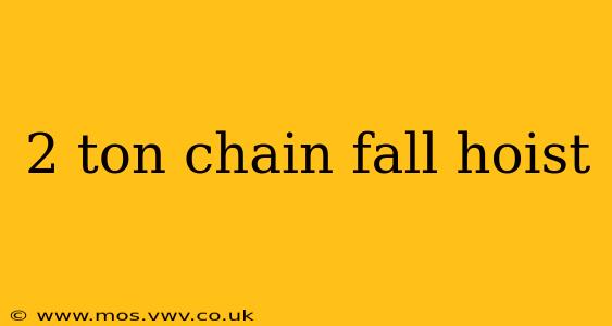 2 ton chain fall hoist
