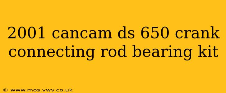 2001 cancam ds 650 crank connecting rod bearing kit