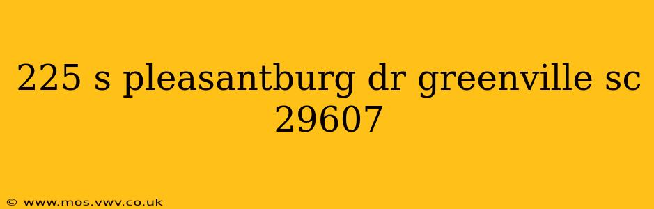225 s pleasantburg dr greenville sc 29607