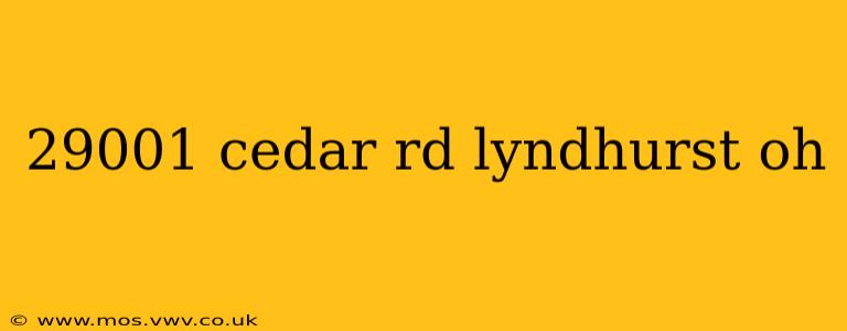 29001 cedar rd lyndhurst oh