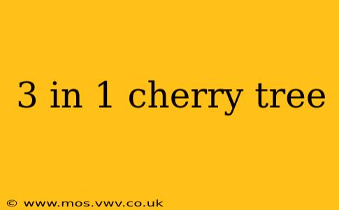 3 in 1 cherry tree