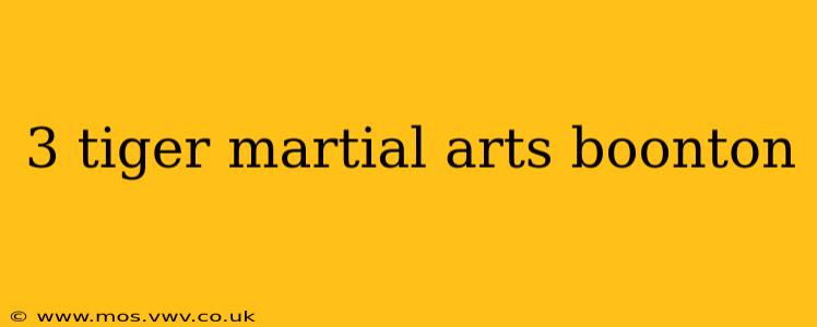 3 tiger martial arts boonton