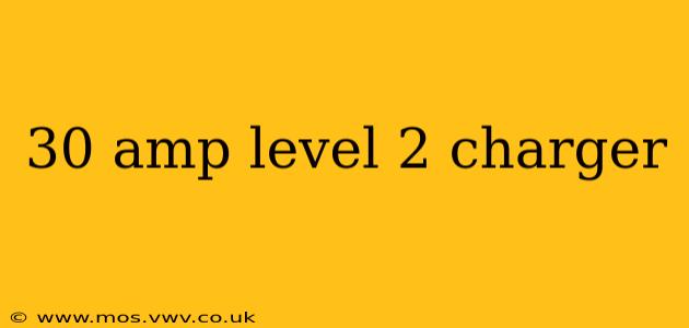 30 amp level 2 charger