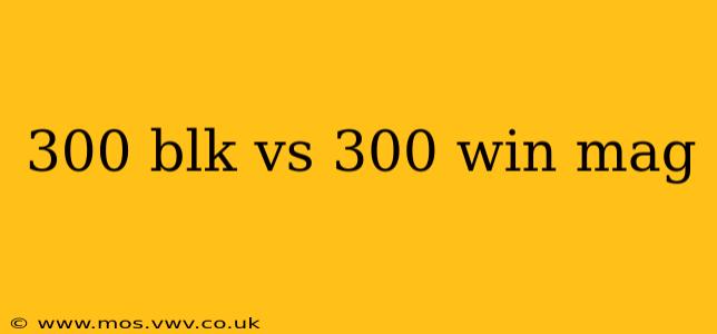300 blk vs 300 win mag