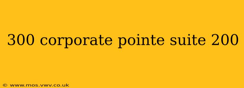300 corporate pointe suite 200