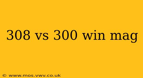 308 vs 300 win mag