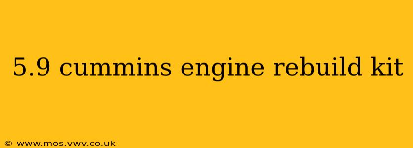 5.9 cummins engine rebuild kit