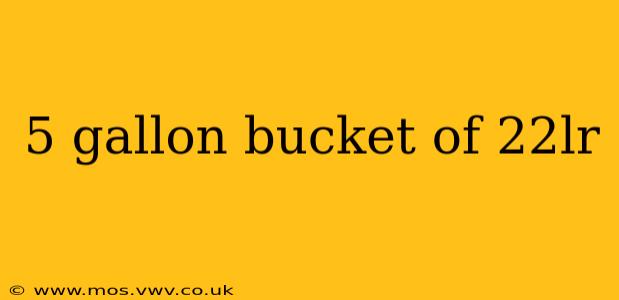 5 gallon bucket of 22lr