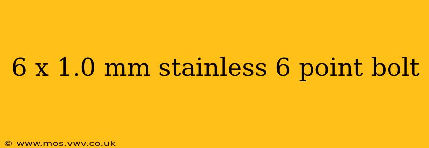 6 x 1.0 mm stainless 6 point bolt