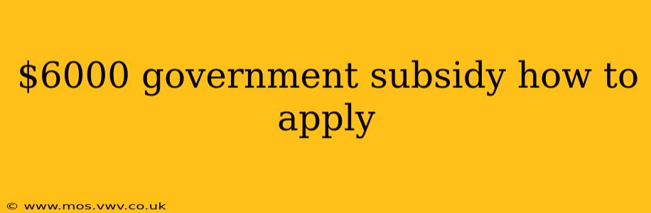 $6000 government subsidy how to apply