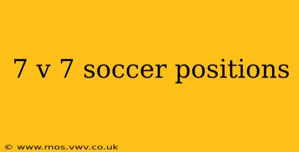 7 v 7 soccer positions
