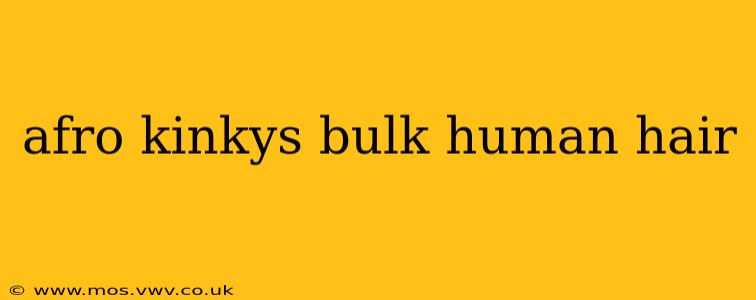 afro kinkys bulk human hair