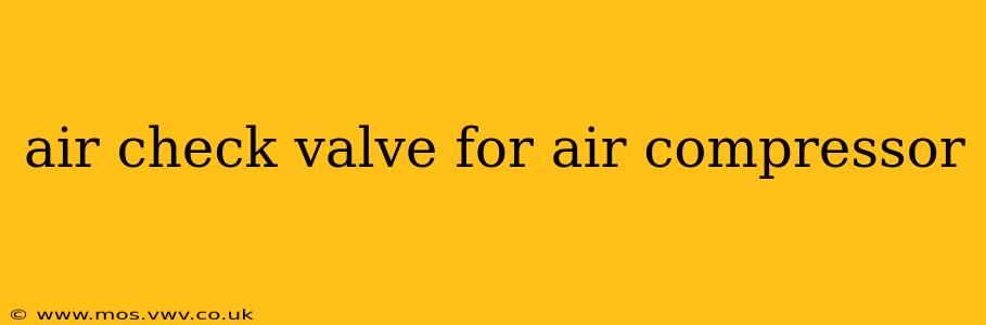 air check valve for air compressor