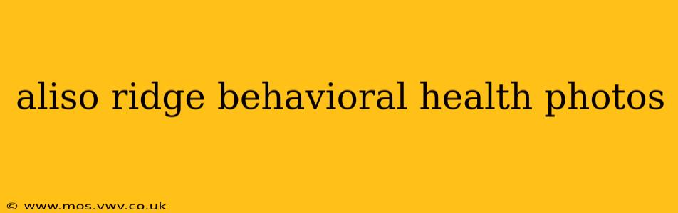 aliso ridge behavioral health photos