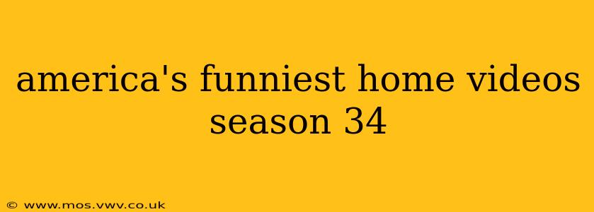 america's funniest home videos season 34
