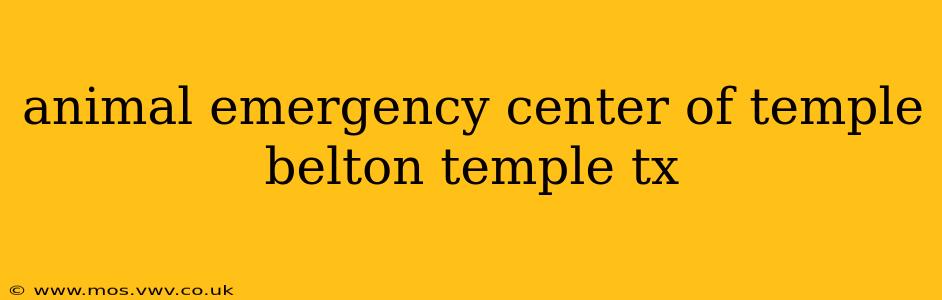 animal emergency center of temple belton temple tx