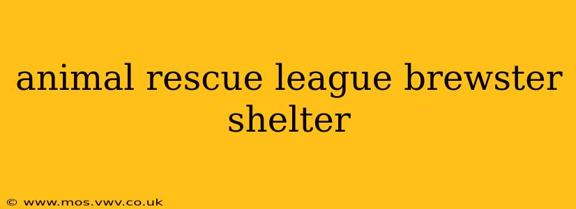 animal rescue league brewster shelter