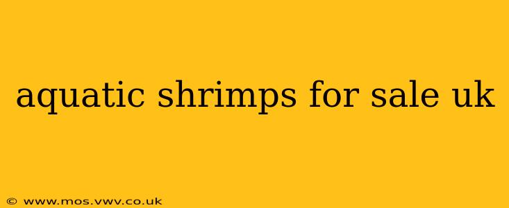 aquatic shrimps for sale uk
