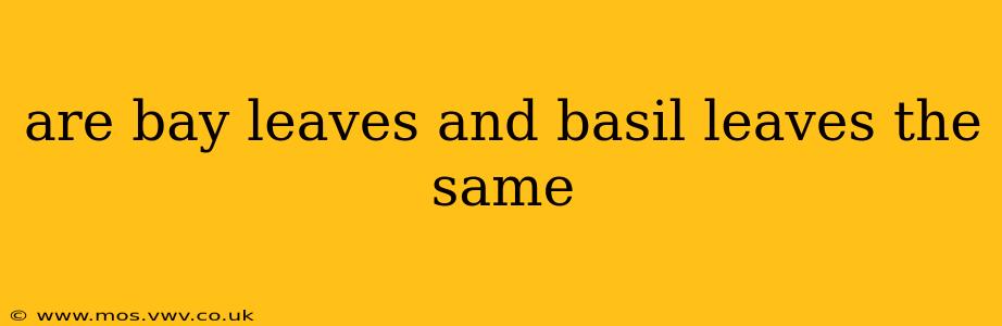are bay leaves and basil leaves the same