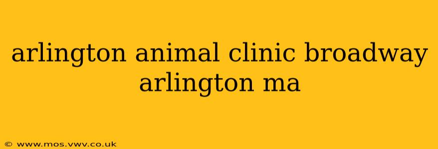 arlington animal clinic broadway arlington ma