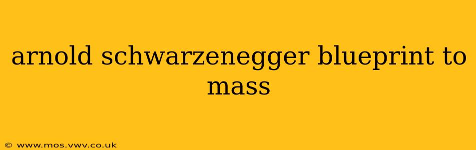 arnold schwarzenegger blueprint to mass