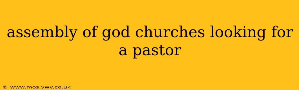 assembly of god churches looking for a pastor