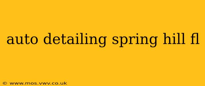 auto detailing spring hill fl