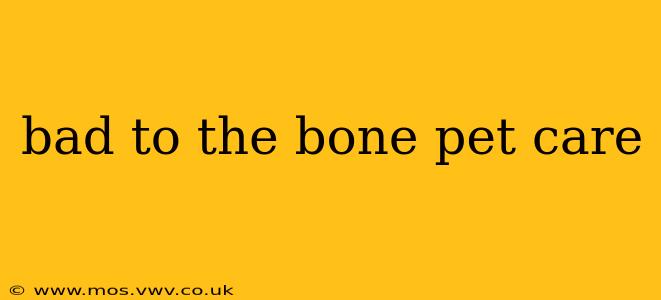 bad to the bone pet care