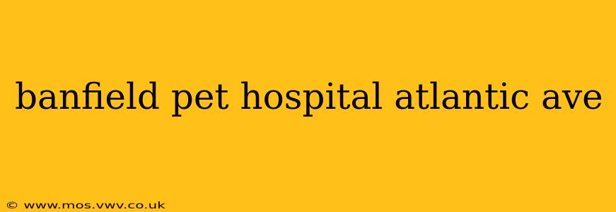 banfield pet hospital atlantic ave
