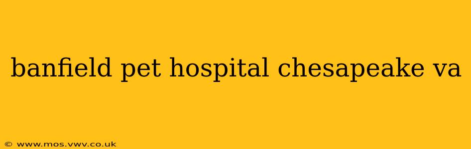 banfield pet hospital chesapeake va