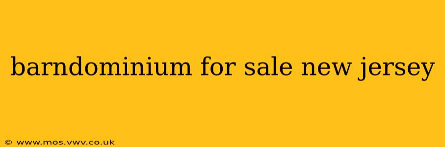 barndominium for sale new jersey