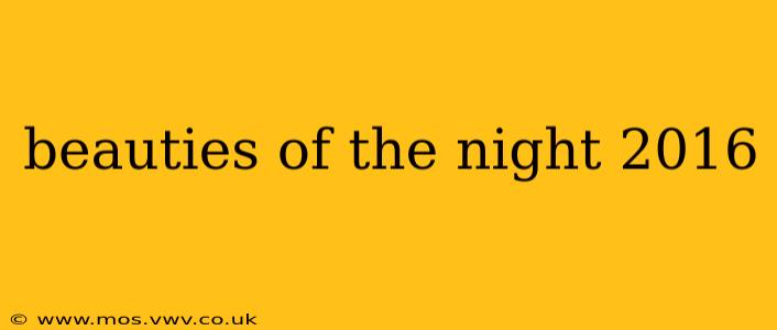 beauties of the night 2016