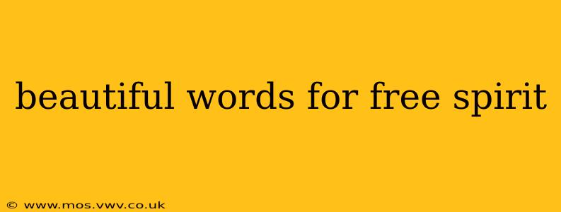 beautiful words for free spirit