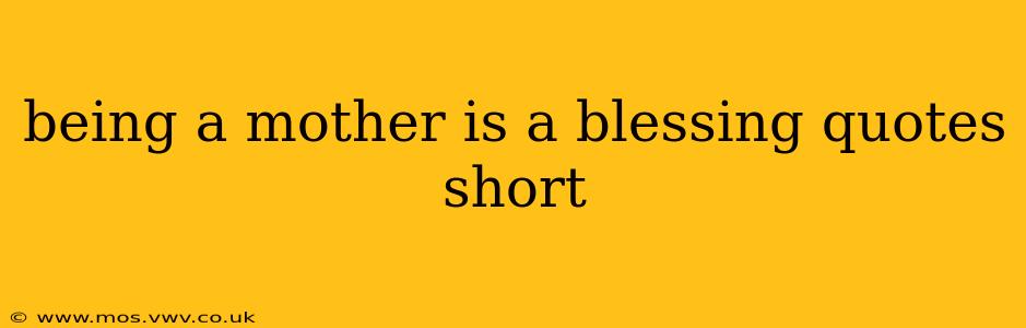 being a mother is a blessing quotes short