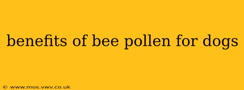 benefits of bee pollen for dogs