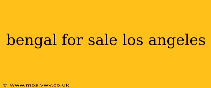 bengal for sale los angeles