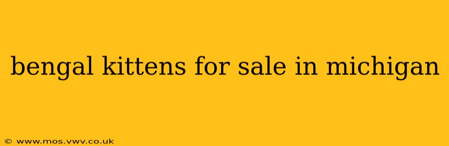 bengal kittens for sale in michigan