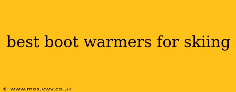 best boot warmers for skiing