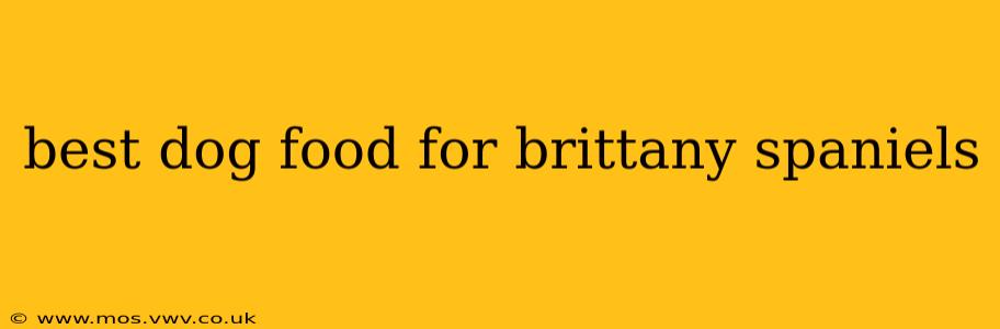 best dog food for brittany spaniels