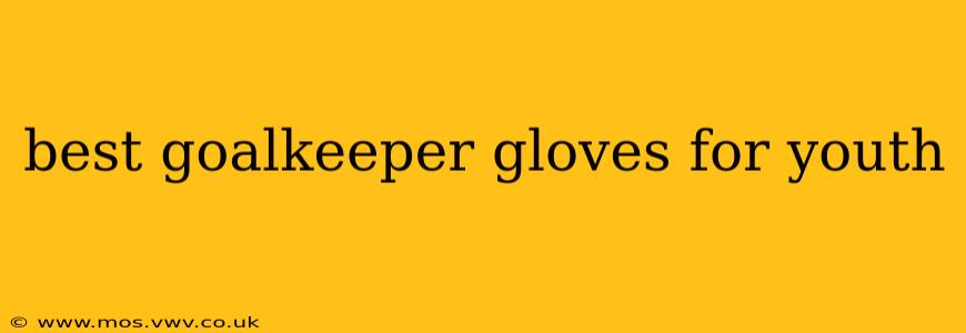 best goalkeeper gloves for youth