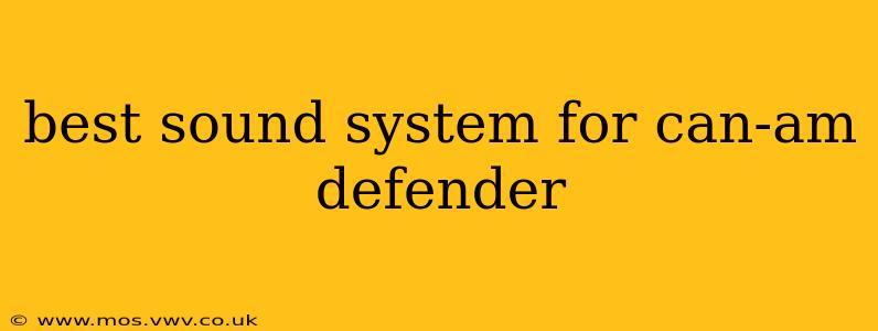 best sound system for can-am defender