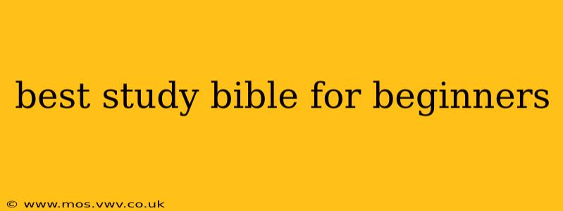 best study bible for beginners