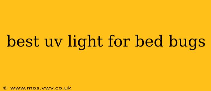 best uv light for bed bugs